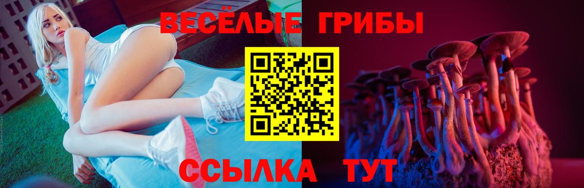 Ейск  Псилоцибиновые грибы прущие грибы  Вход с VPN  Галлюциногенные грибы Magic Shrooms 
